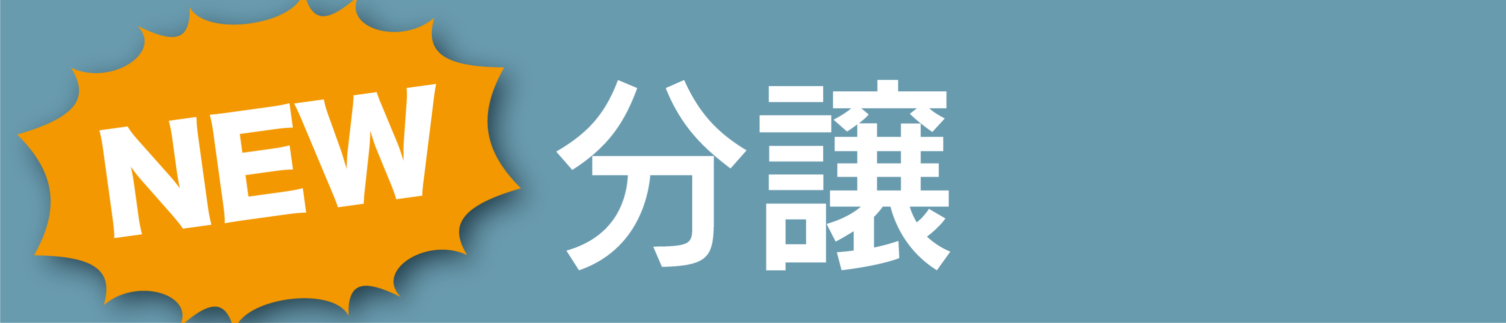 NEW分譲